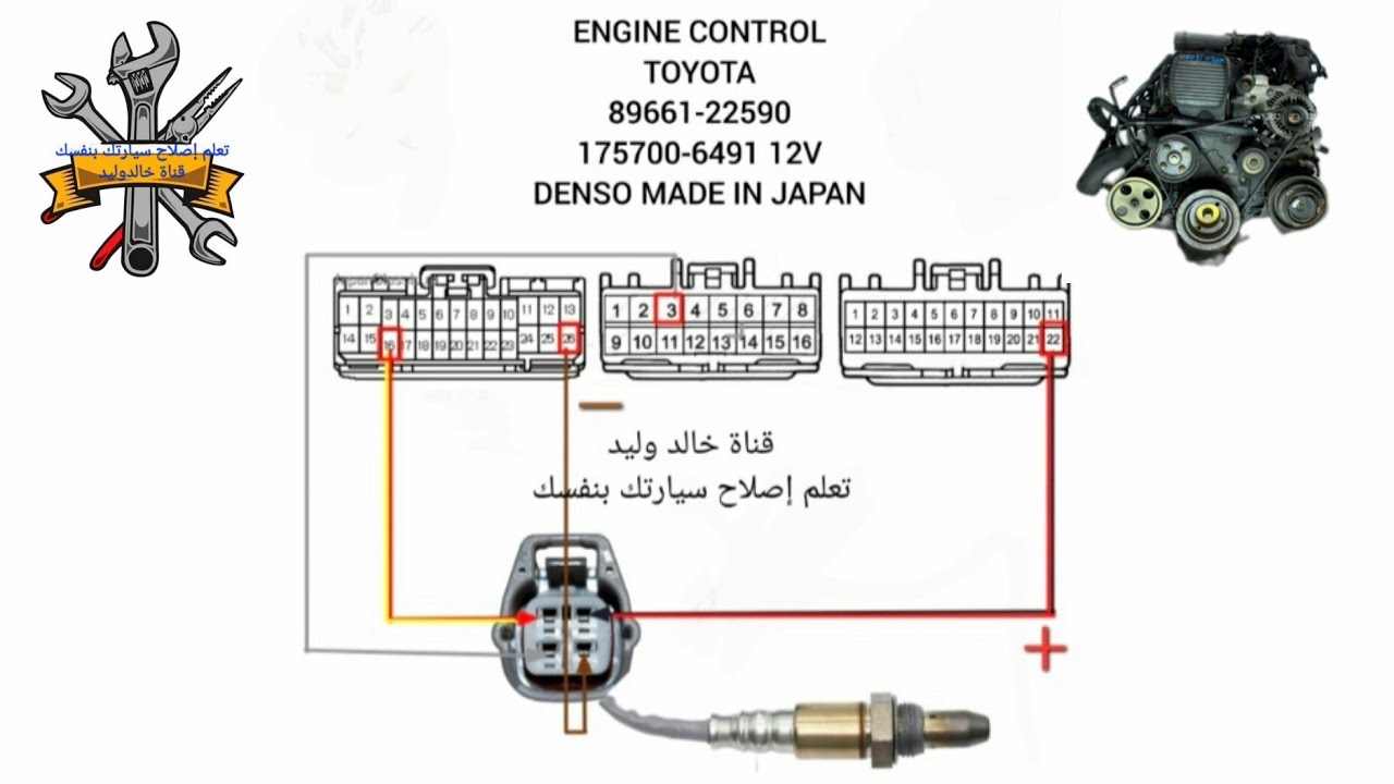 توصيل الحساسية مع اسلاك الجدل في حالة القطع الكامل حساس أكسجين