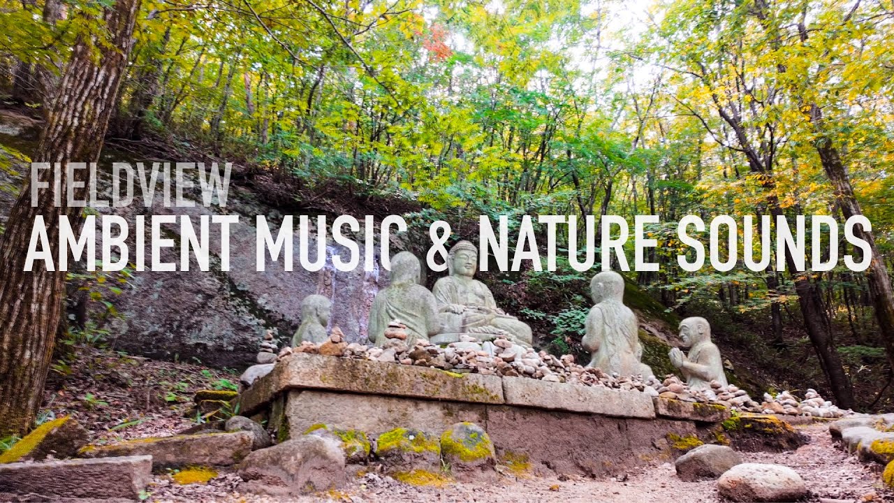 Peaceful Forest with Birds & Buddha | Relaxing Ambient Soundscape