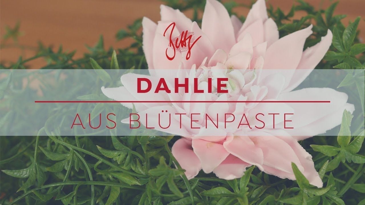 Dahlie aus Blütenpaste | Betty´s Sugar Dreams