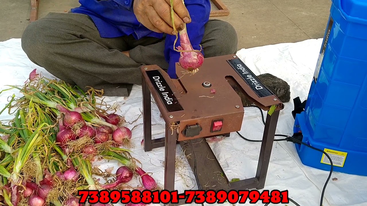 Onion Steam Root Cutter | Drizzle India | प्याज लहसुन काटने की मशीन | Garlic Cutter