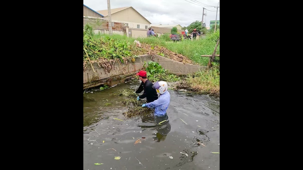 Satisfying Weed Removal From a Heavily Blocked Drainage Ditch #farming #satisfying #water