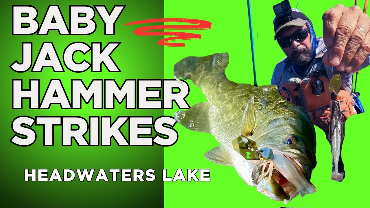 Z-Man Jack Hammer Baby Jack Review | Best Chatterbait for Big Bass & Numbers!