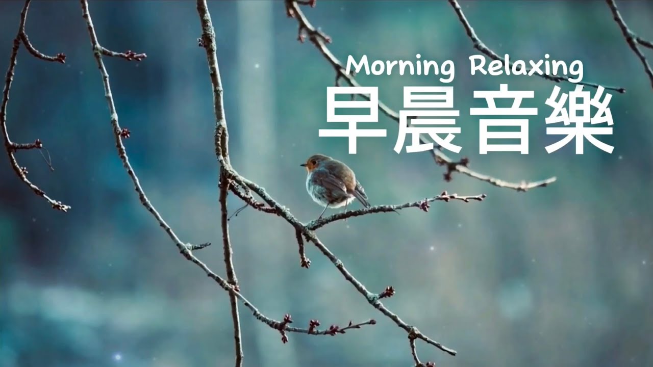 早晨音樂Morning Music | 枝頭在風中搖曳，小鳥在光中吟唱，喜悅的心純善靜美，放鬆柔和的輕音樂｜#輕音樂 #早晨音樂 #放鬆 #冥想 #睡眠 #softmusic 