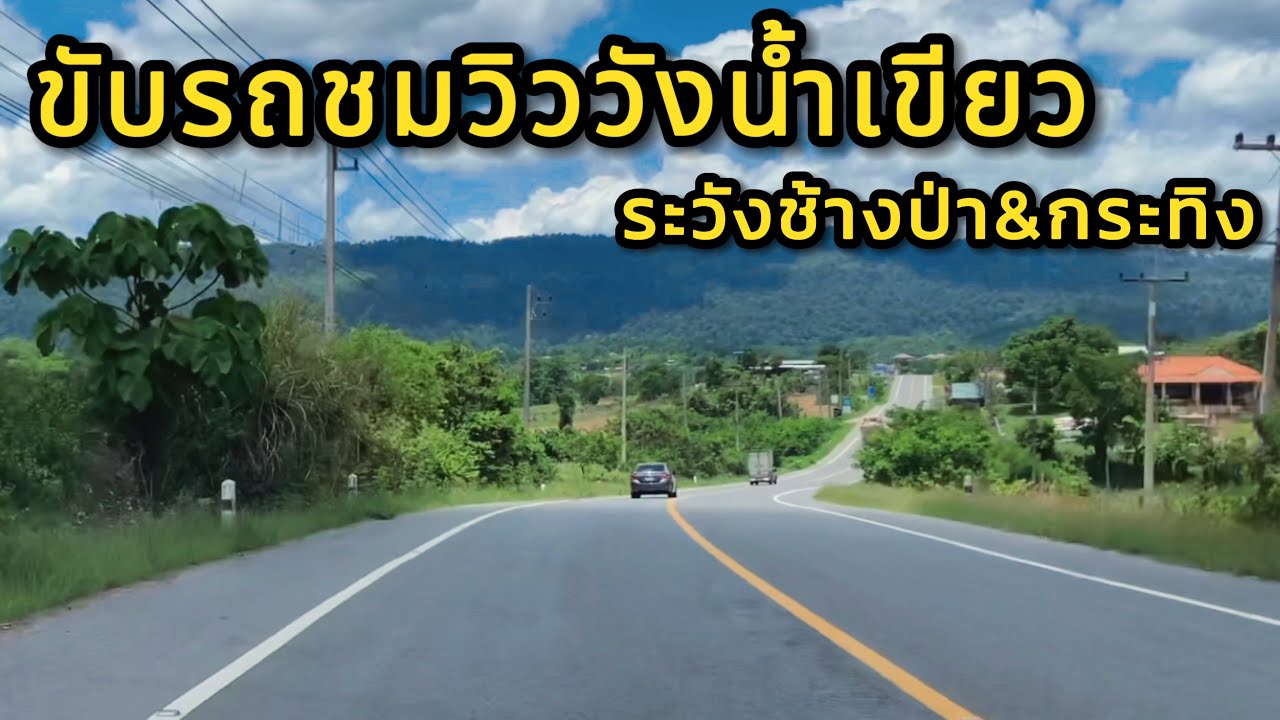 ขับรถชมวิววังน้ำเขียว บนทางหลวงชนบท นม.3052 สายวังน้ำเขียว-ปากช่อง วิวสวยแต่ต้องระวังสัตว์ป่าข้ามถนน
