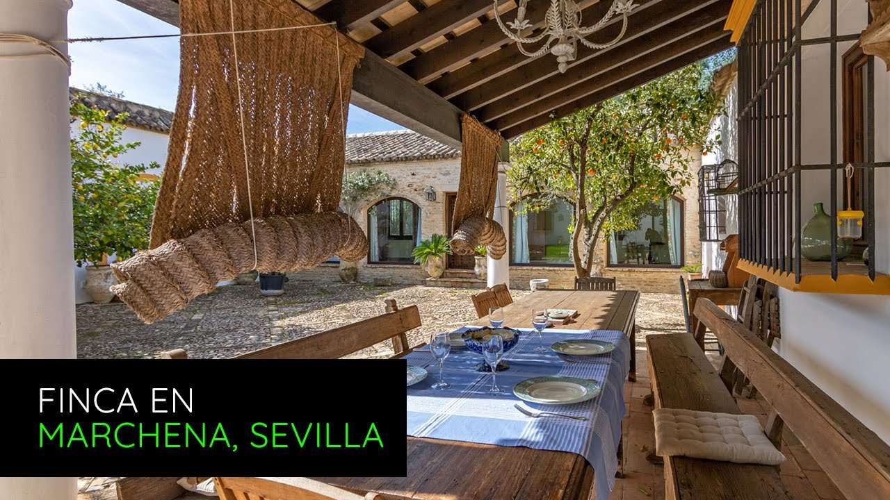 VENDIDA - Finca de recreo y olivar en venta en Marchena, Sevilla P2525