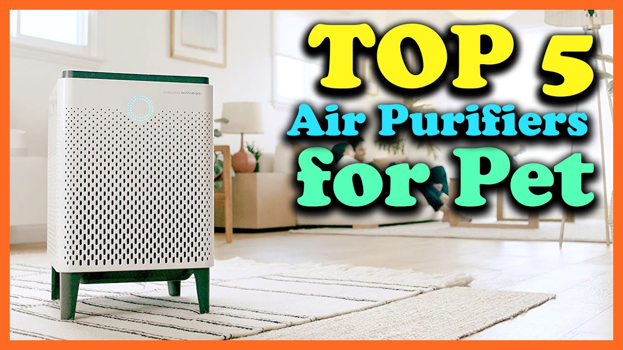 ✅Top 5 Best Air Purifiers for Pet Owners of 2025