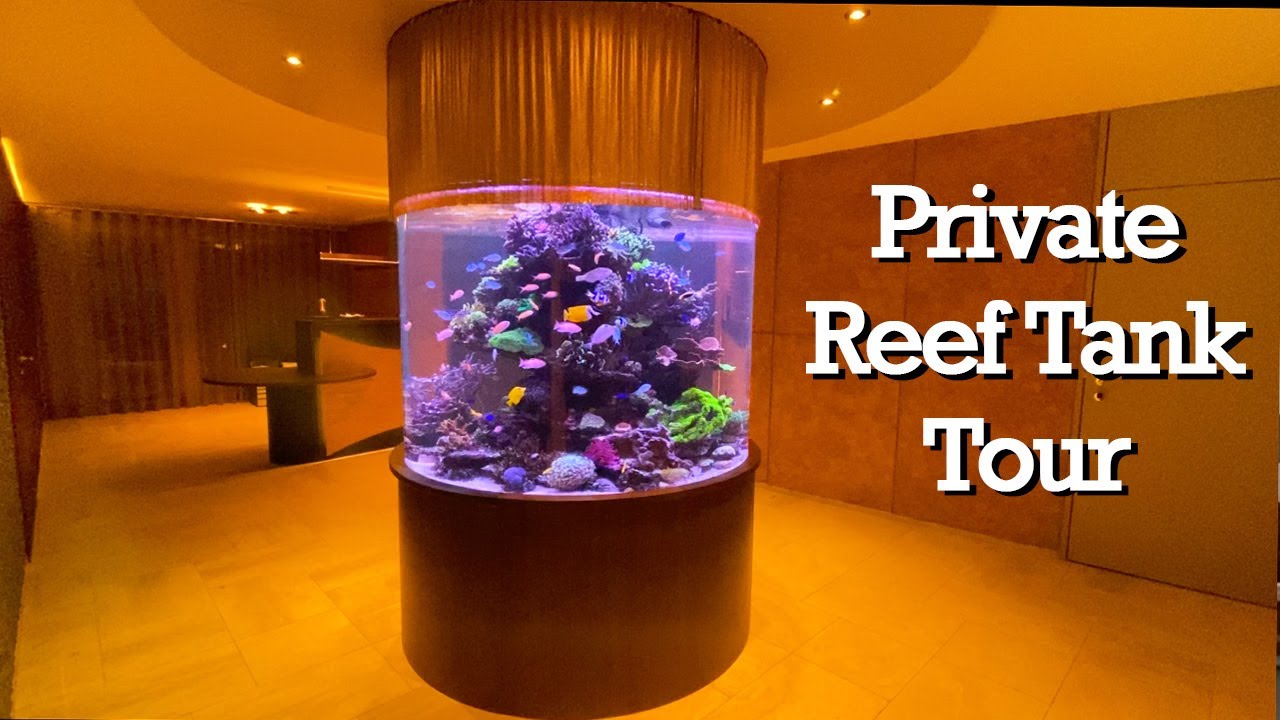REEF TANK TOURS - mixed column reef tank (2000 liter / 530 gallon) acrylic AQUARIUM #reeftank