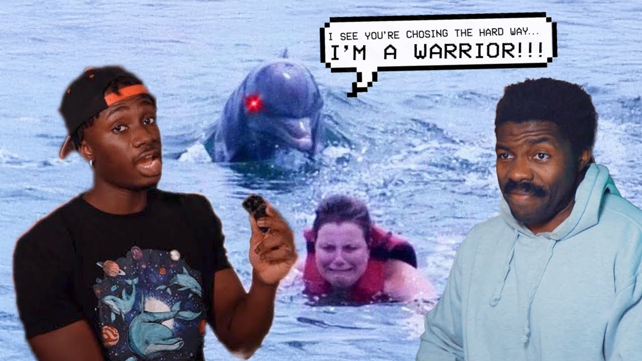 Dolphins Will Never escape the Alligations | The Chill Zone Reacts