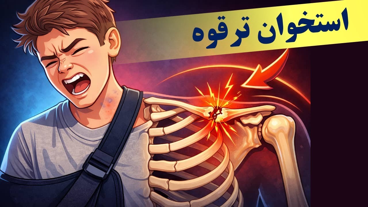 آناتومی اندام فوقانی؛ استخوان ترقوه (Clavicle)
