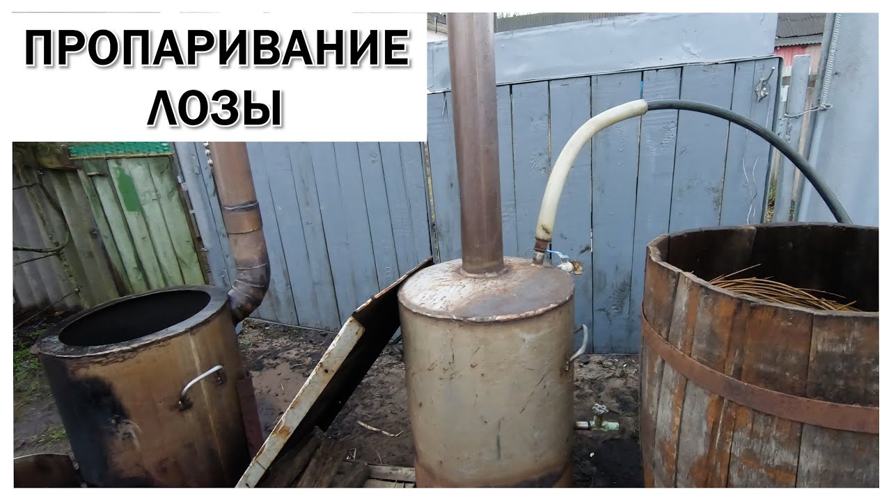 ПРОПАРИВАНИЕ ЛОЗЫ #лозоплетение