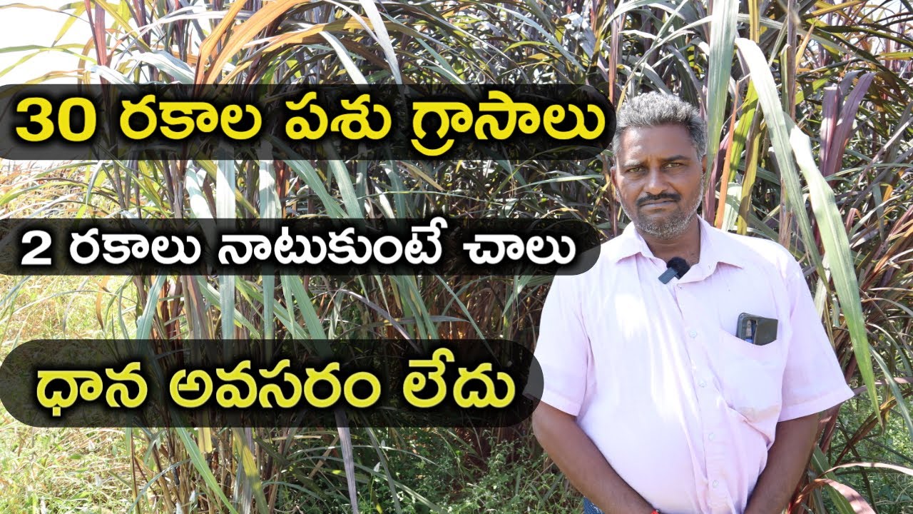 ధాన ఖర్చులు తగ్గించుకుంటే మంచిది|mallesh adla|