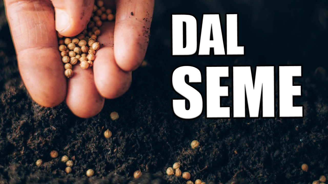 Riprodurre da seme i pomodori