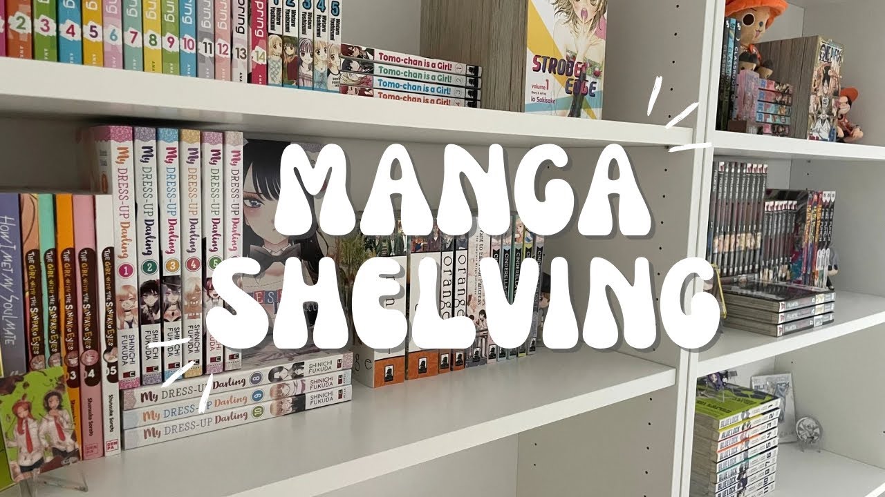 Organizing my manga shelf // 181 volumes