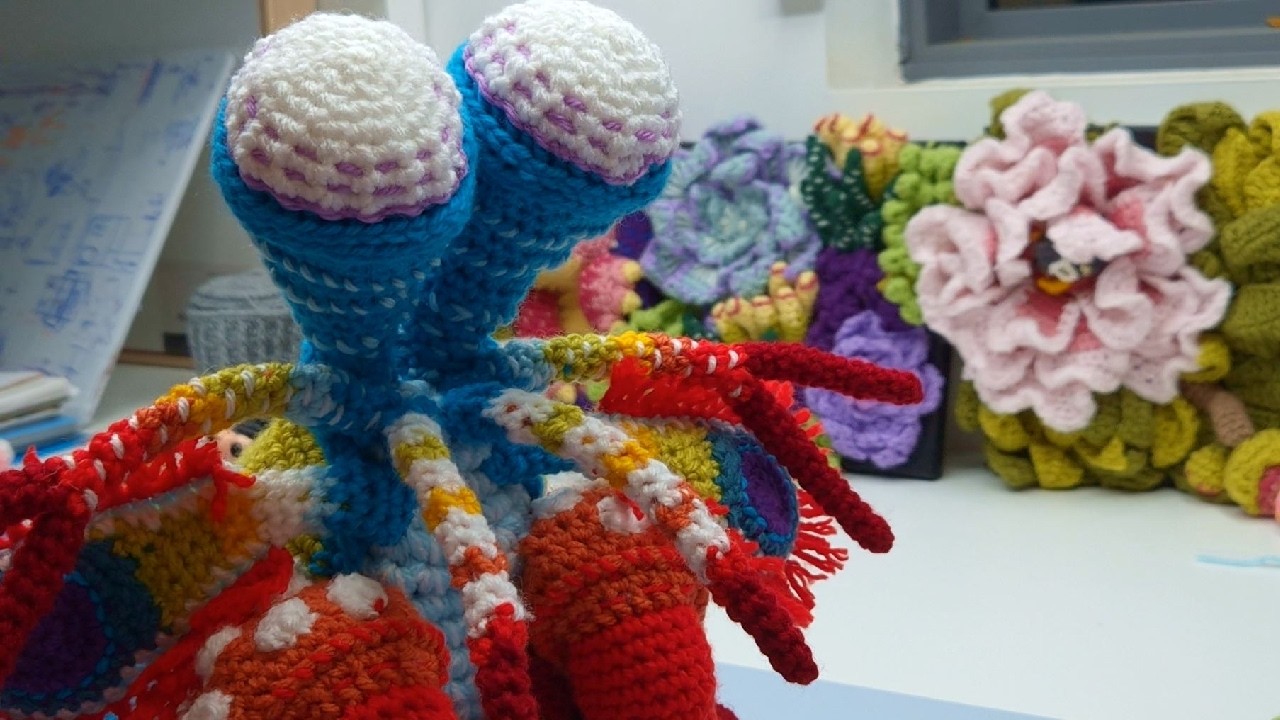 I’ve always wanted to make one!