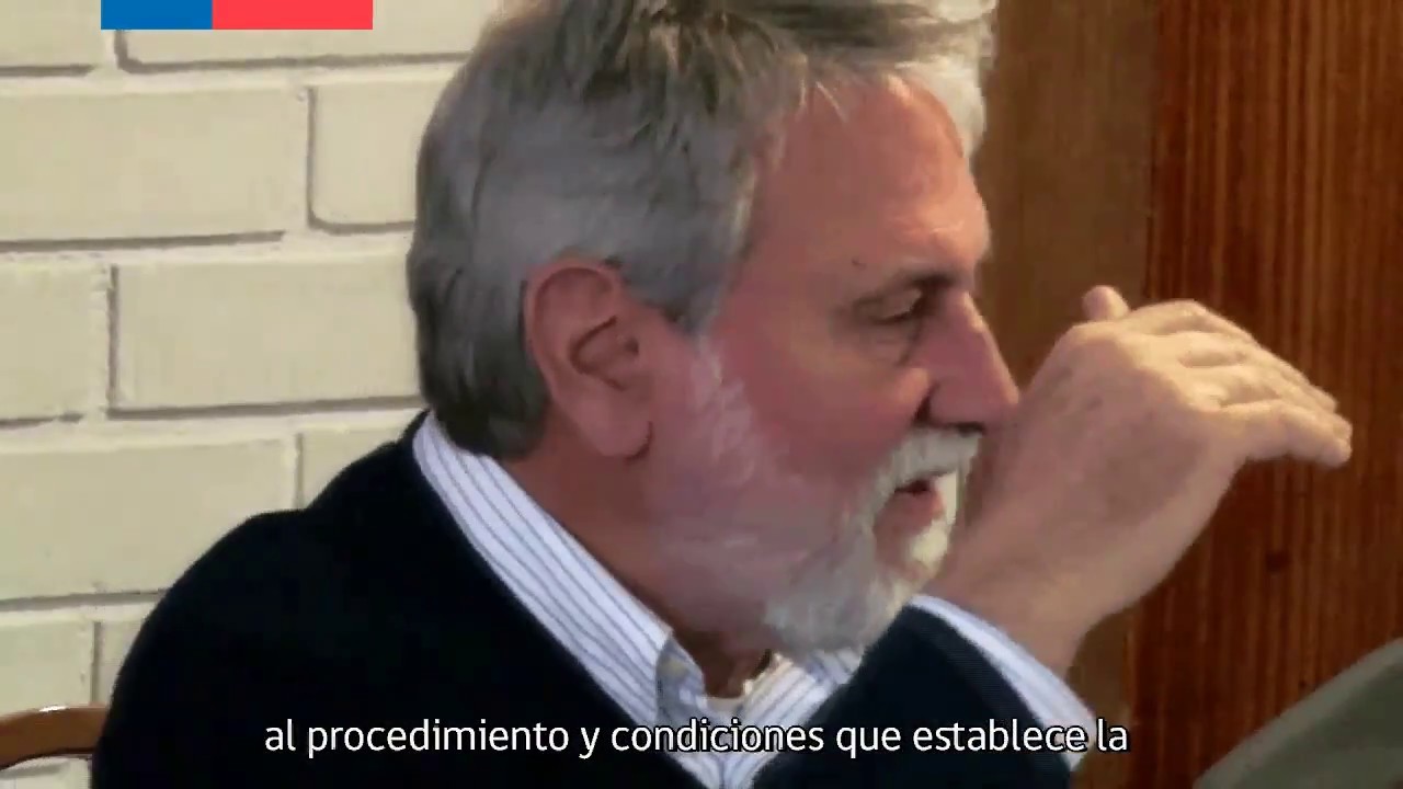 Subpesca: ¿Qué son los Comités de Manejo?