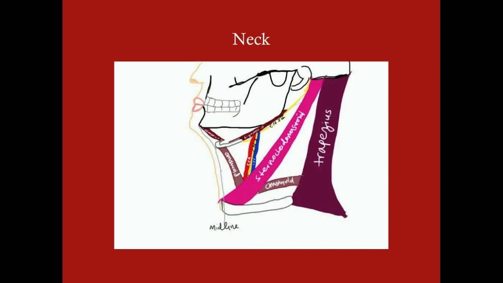 Penetrating Neck Trauma - CRASH! Medical Review Series