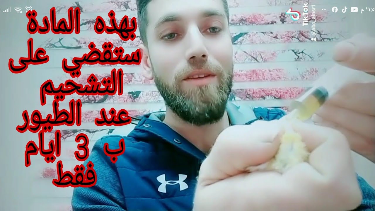 #كناري تخلص من التشحيم عند طيور الكناري والحسون بطريقة طبيعية وفعالة 100