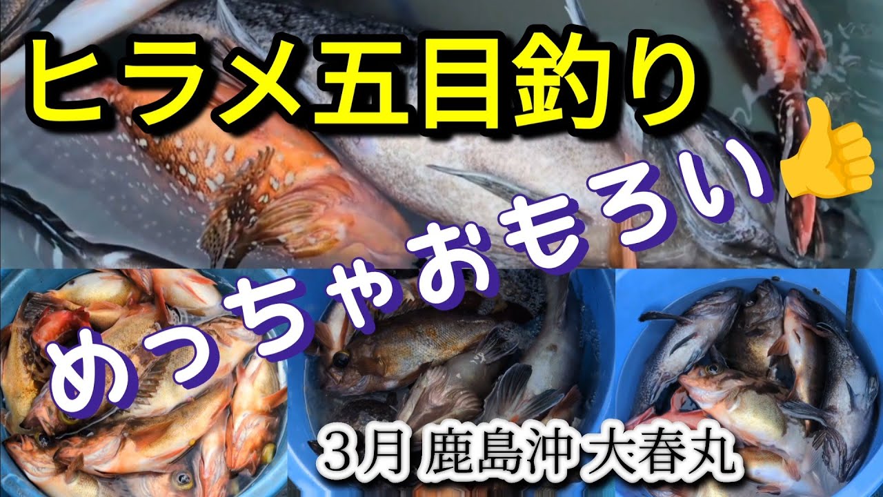 ヒラメ五目釣り 鹿島沖 大春丸