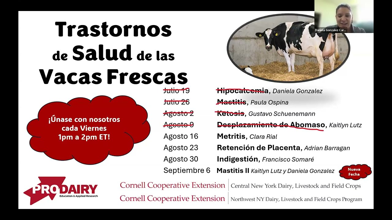 Los trastornos de Salud de la Vaca Fresca en español-Metritis. Fresh Cow Disorders-Metritis