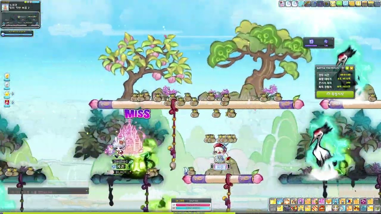 NEW AGE GRANDIS 260-300 TRAINING GUIDE
