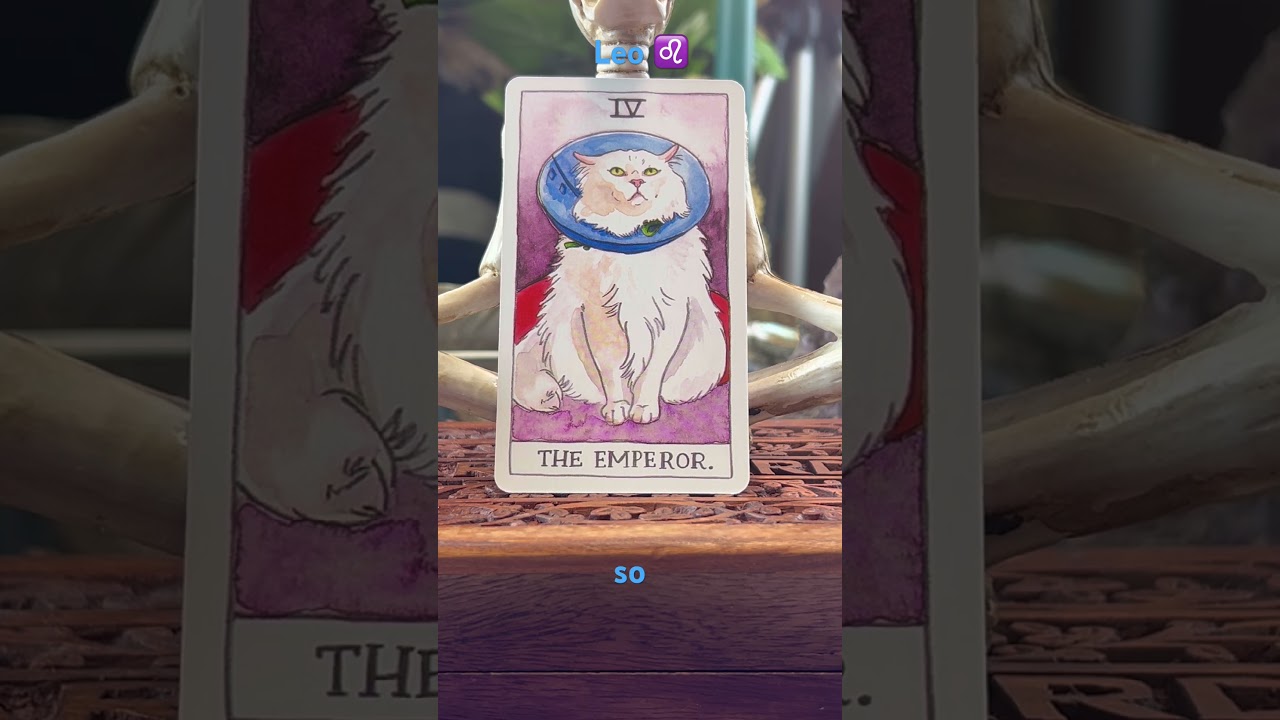 Leo ♌️ tied are untied tarot reading today #tarot #cattarot #fyp #foryou #leo #tarotreading #money