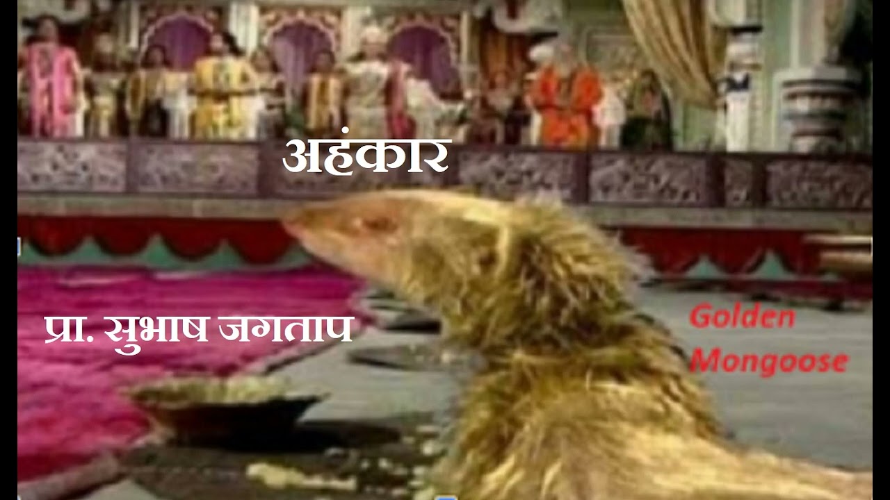 EGO ...Prof. subhash Jagtap