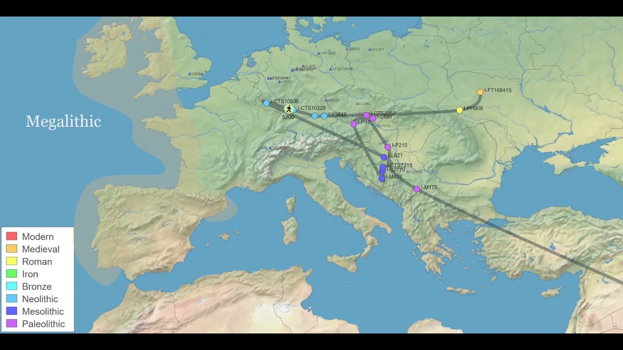 My haplogroup I-FT168731 (I branch, I-P37.2 subbranch,... below I-PH908).