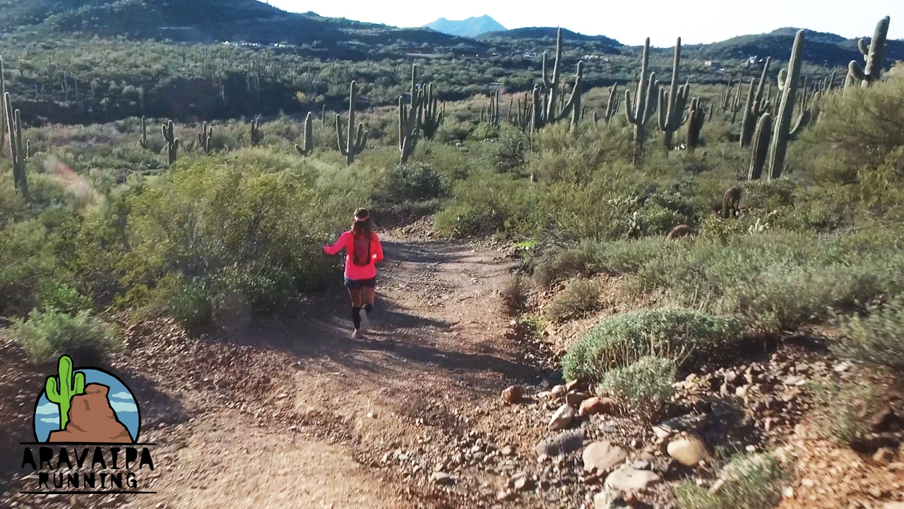 Elephant Mountain Trail Runs
