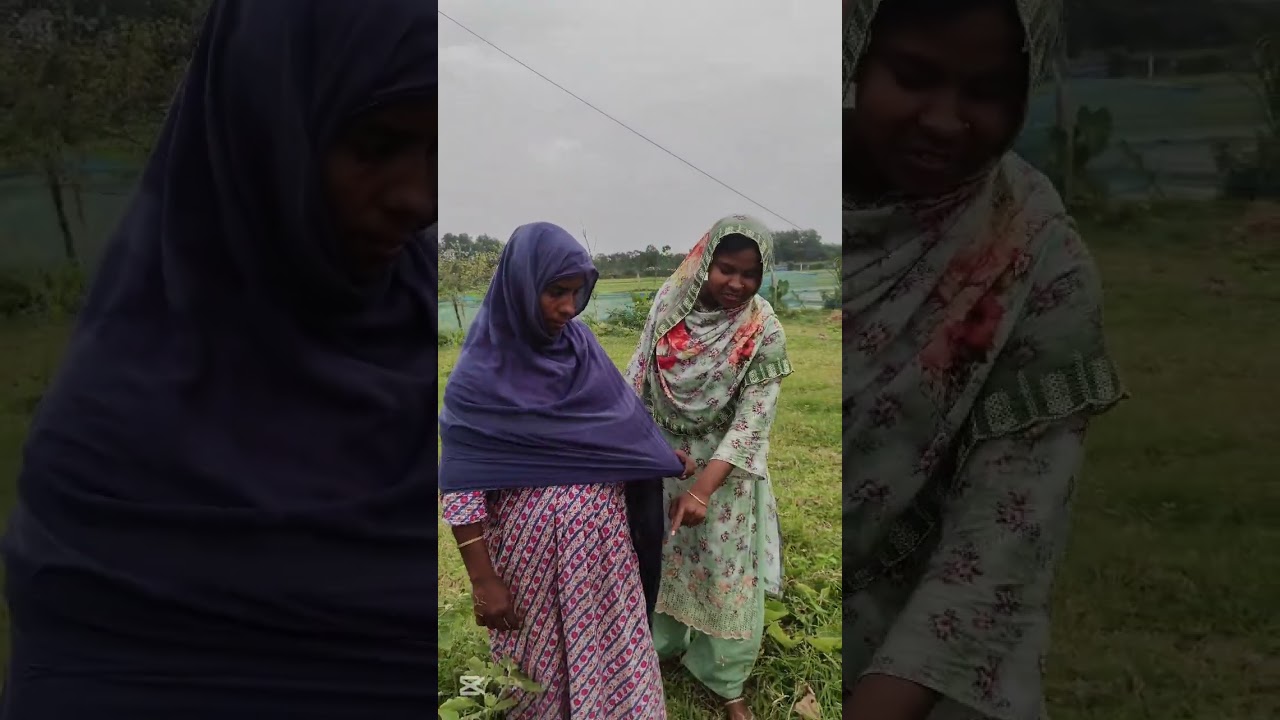 তুলি ভাবির সবজি বাগানে ঘুরতে গেলাম