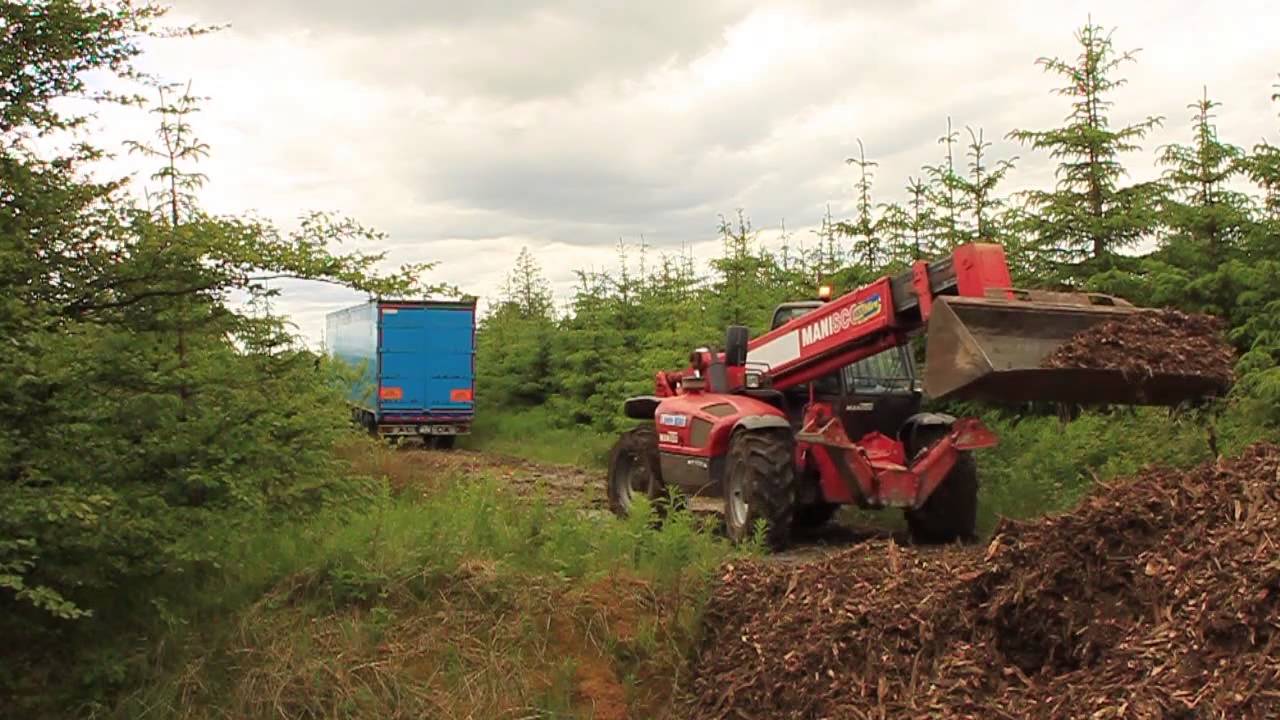 Processing Stumps at the Forest Roadside