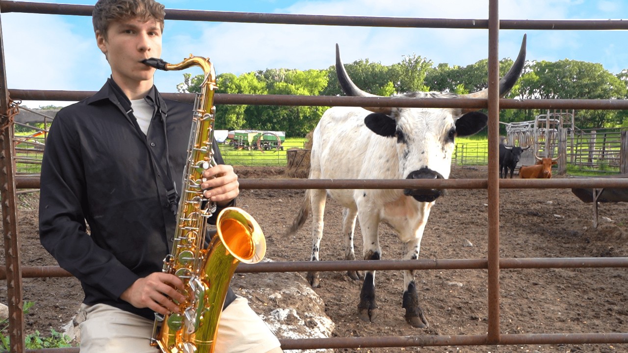 I Tested if Cows Actually Like Jazz