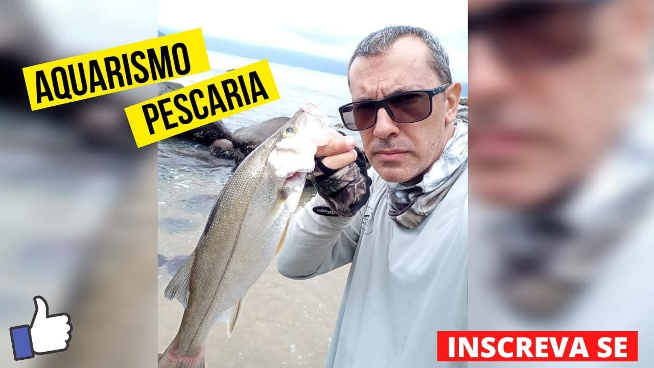 Pesca de ROBALO ILHA da Marambaia #pescaesportiva #pesca