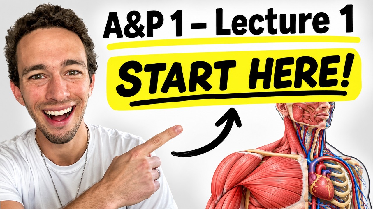 Anatomy & Physiology 1 - Lecture 1 | Homeostasis, Levels of Organization, Core Concepts