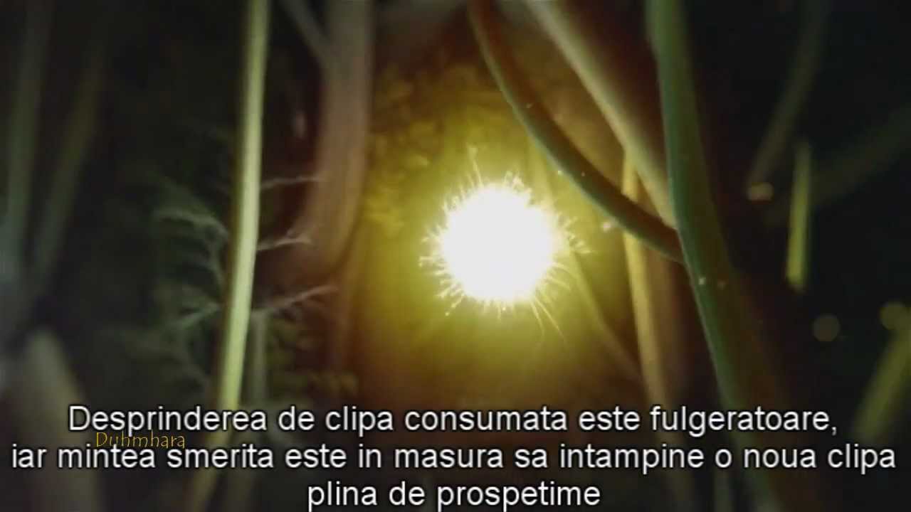 Ilie Cioara - Eternitatea Clipei