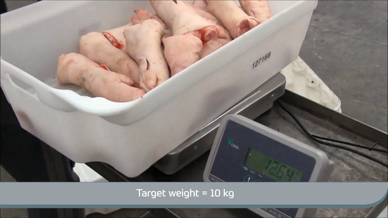 CABINPLANT Multi Batcher