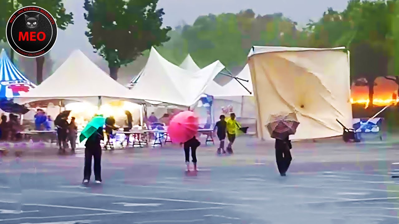 Incredible Moments Caught on Camera