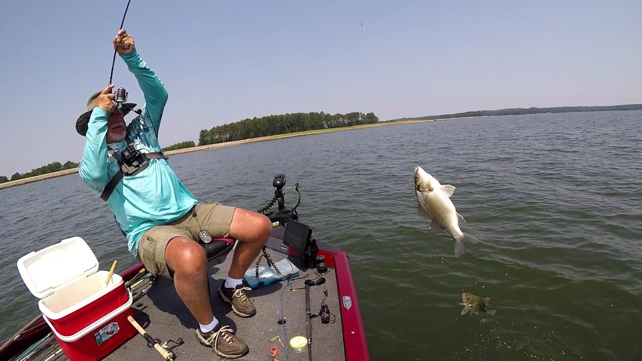 Crappie & White Perch Overload, Lake Monticello