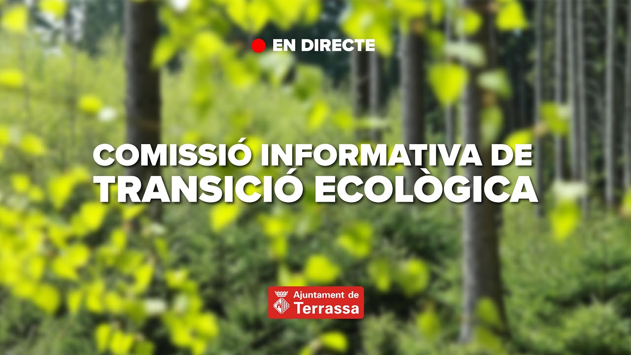 Comissió Informativa de Transició Ecològica. Reunió del 16 de febrer de 2026