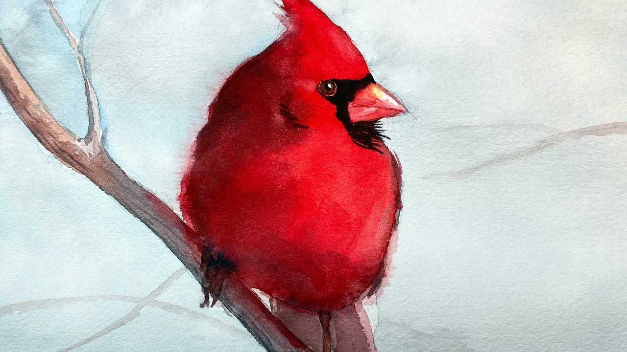Watercolor painting a cardinal bird