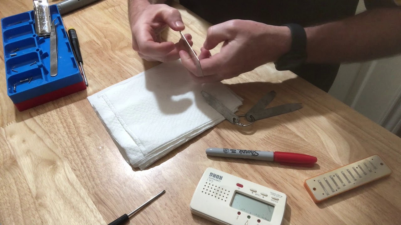 Paddy Richter Tuning A Seydel Diatonic