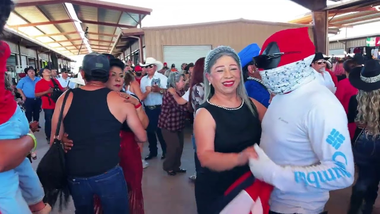 Domingo 2-15 en la pulga de Alamo Texas rgv