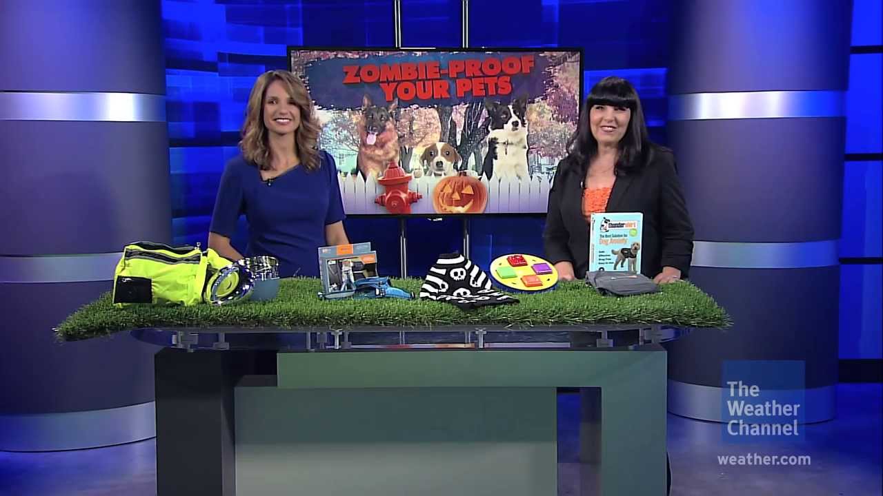Prepare Your Pets for the Zombie Apocalypse! Natural Disaster Preparedness Tips for Dogs and Cats