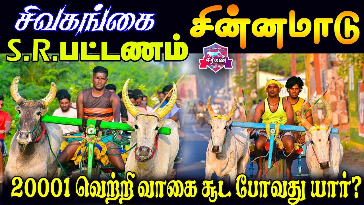 🔴LIVE(நேரலை) | S.R பட்டணம்   | சிவகங்கை மாவட்டம் |சின்ன மாடு  | பந்தயம்