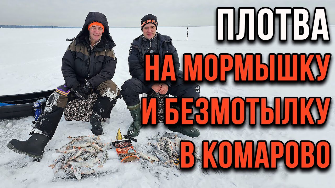 Ловим в Комарово, сезон 2026 года.