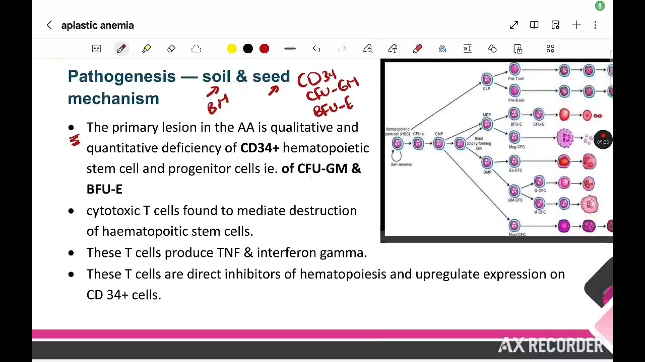 L1 Blood (Primary hematopoietic failure syndrome) MEDlll, BFOM41 