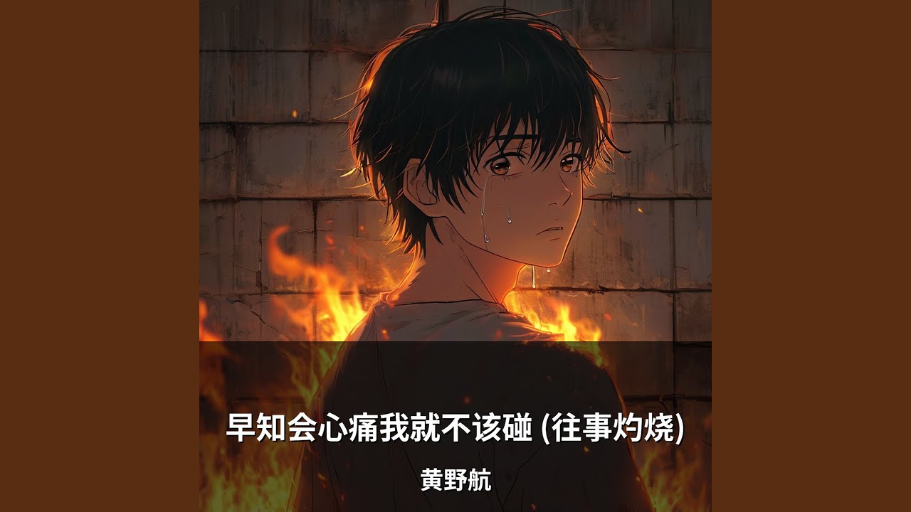早知会心痛我就不该碰 (往事灼烧)