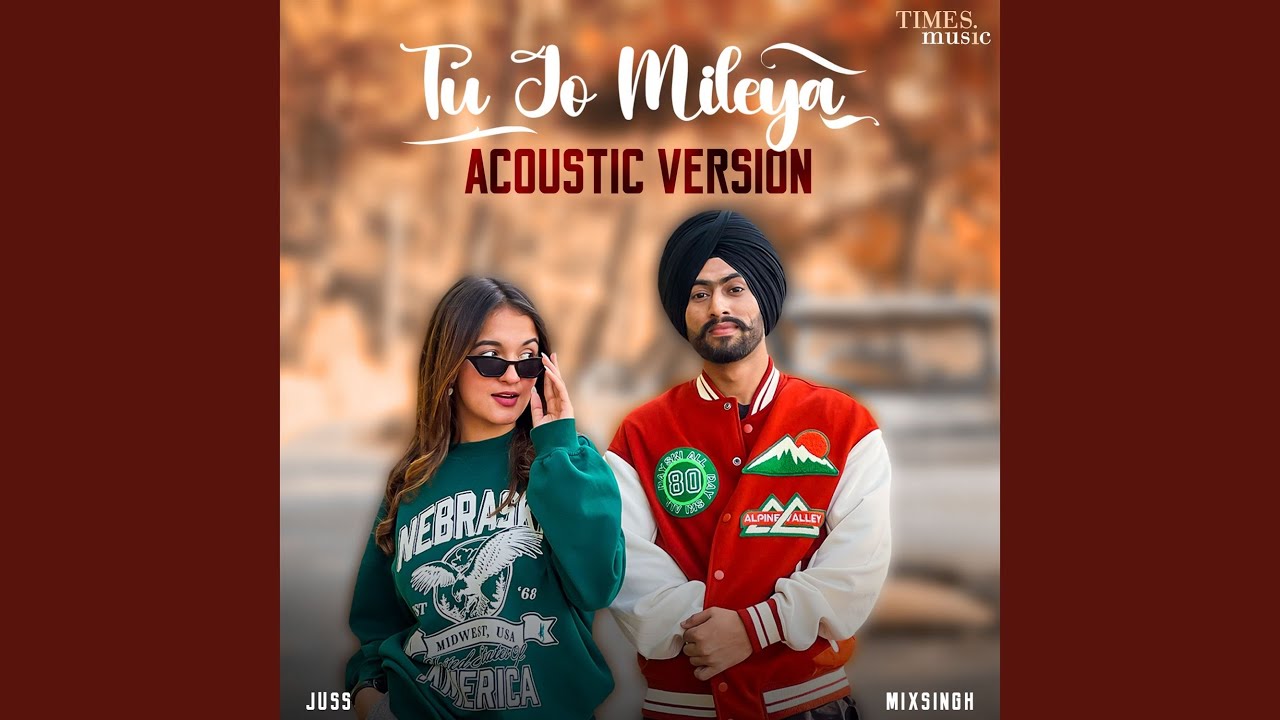 Tu Jo Mileya (Acoustic Version)