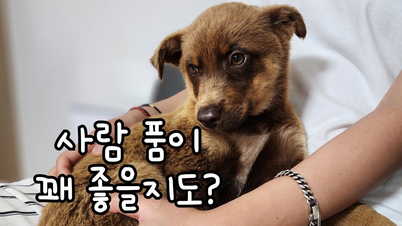 손석구씨! 사회화 훈련 시작합시다~&hearts;
