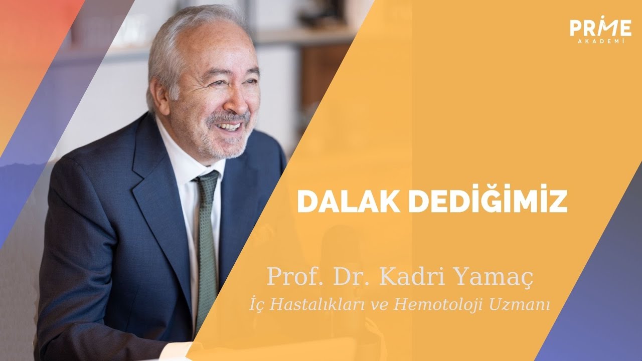 Dalak Dediğimiz | Kadri Yamaç