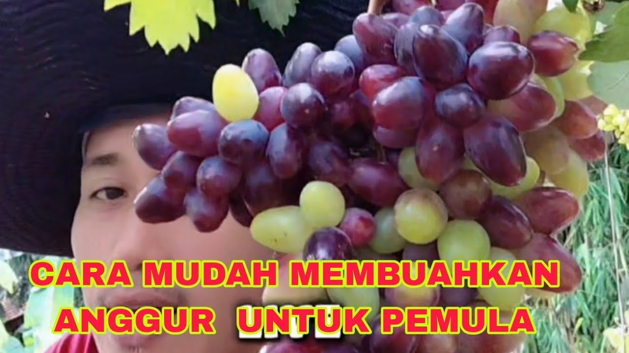 28 Oktober 2025